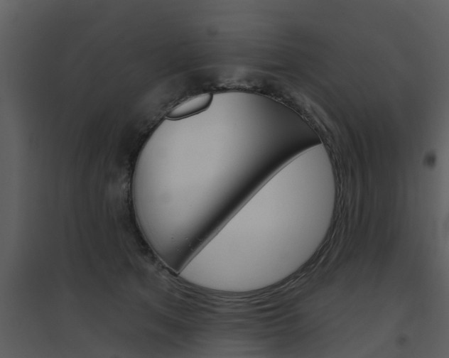 X0000094790513200711160920