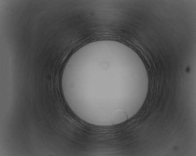 X0000094790516200711160920