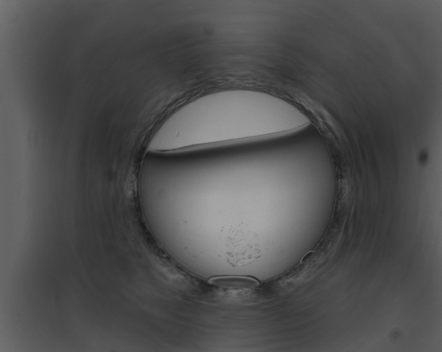 X0000094790517200711160920