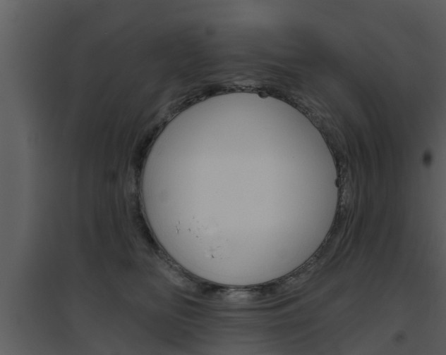 X0000094790518200711160920