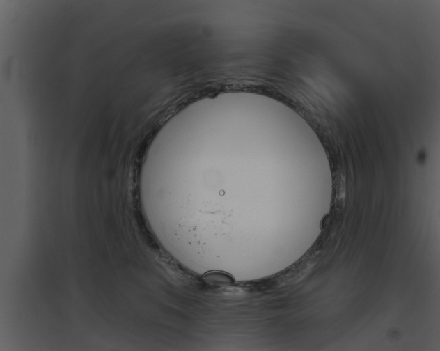 X0000094790519200711160920