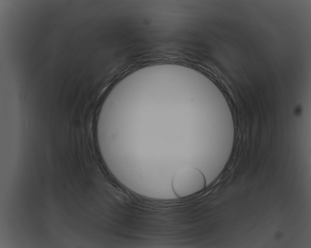 X0000094790520200711160920