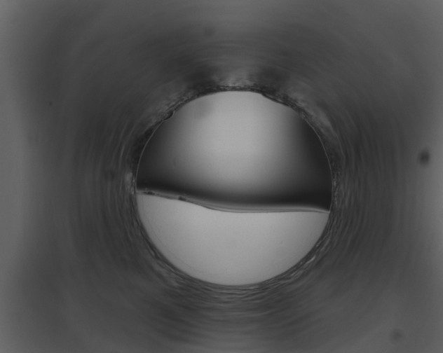 X0000094790521200711160920