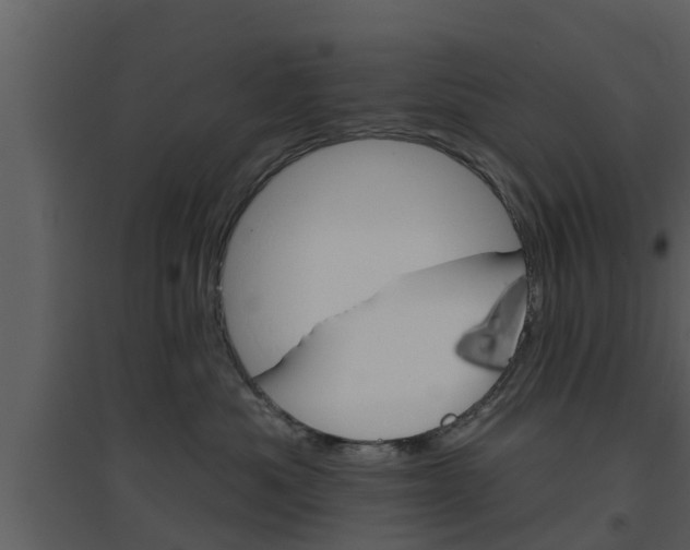X0000094790525200711160920