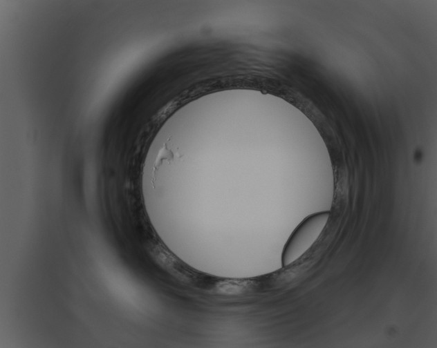 X0000094790526200711160920