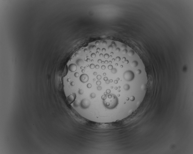 X0000094790527200711160920