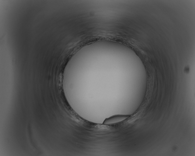 X0000094790528200711160920