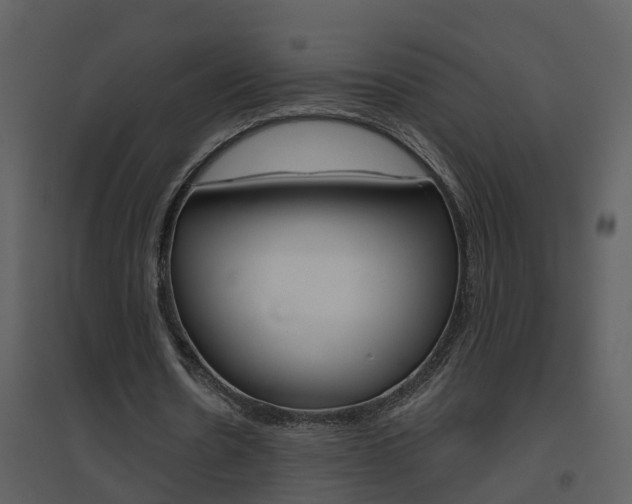 X0000094790530200711160919