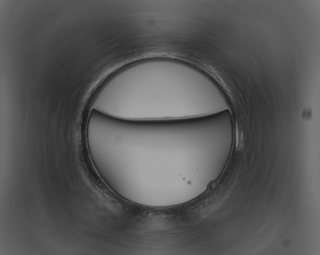 X0000094790531200711160919