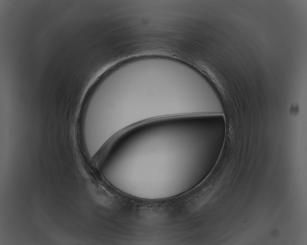 X0000094790532200711160919