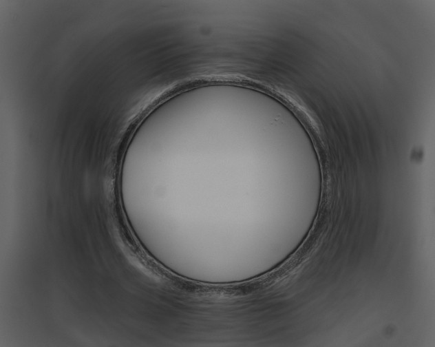 X0000094790533200711160919