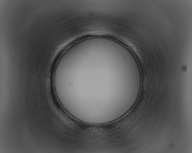 X0000094790535200711160919