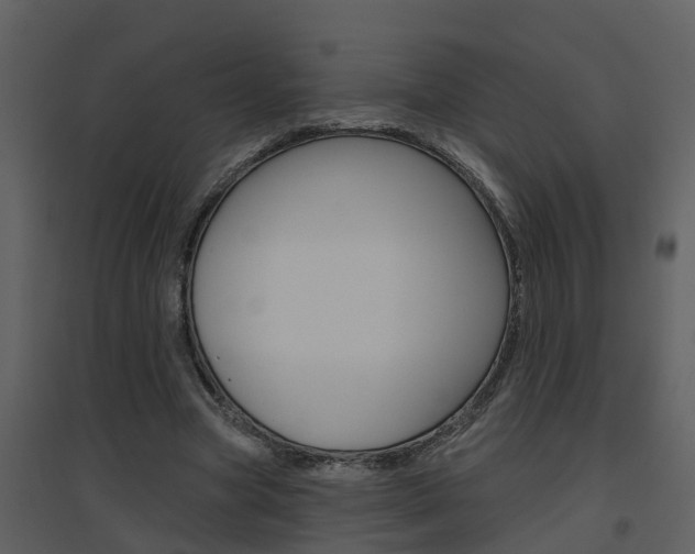 X0000094790537200711160919