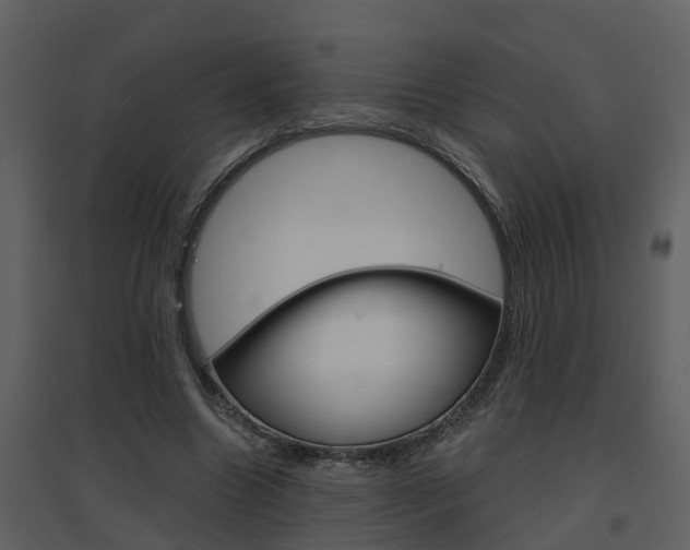 X0000094790538200711160919