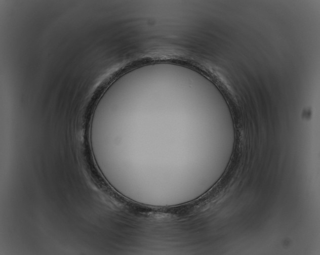 X0000094790539200711160919