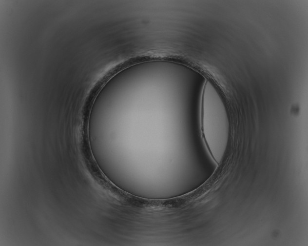 X0000094790540200711160919