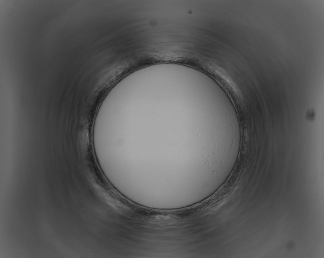 X0000094790541200711160919