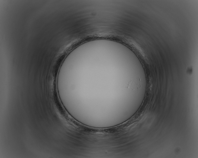 X0000094790542200711160919