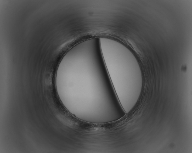 X0000094790543200711160919