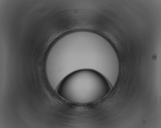X0000094790544200711160919