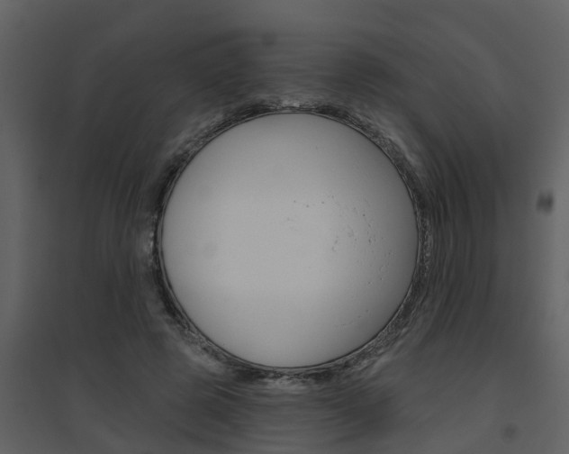 X0000094790545200711160919