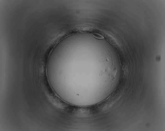 X0000094790546200711160919