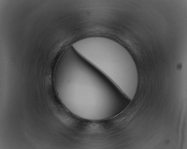 X0000094790547200711160919
