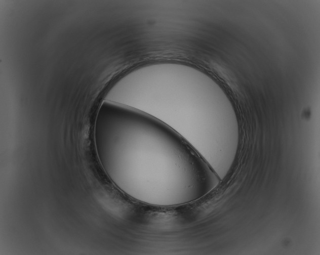 X0000094790548200711160919