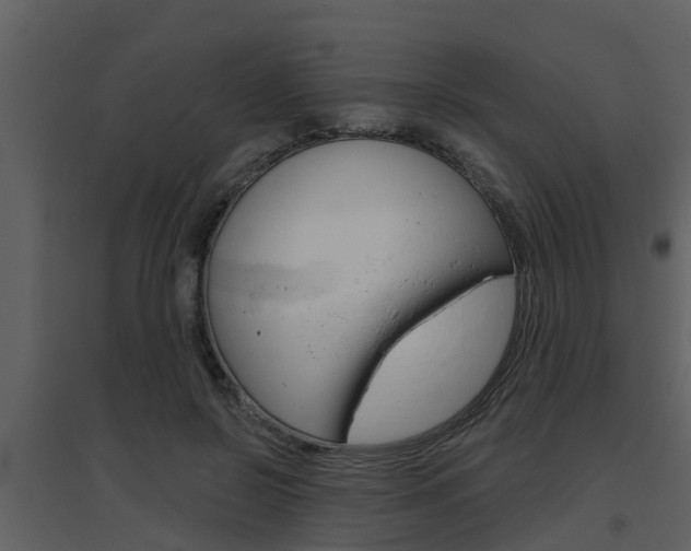 X0000094790550200711160919