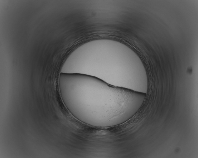 X0000094790551200711160919