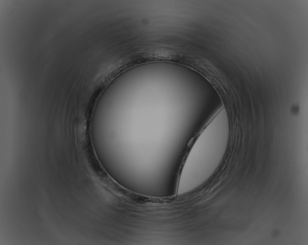 X0000094790552200711160919