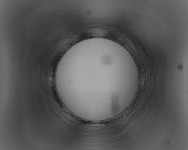 X0000094790553200711160919