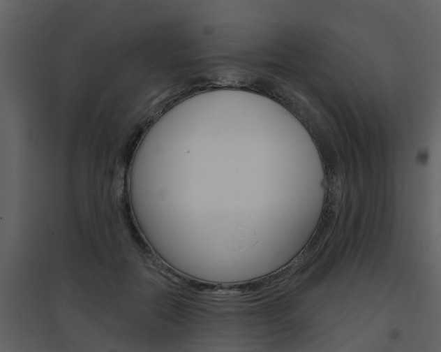 X0000094790554200711160919