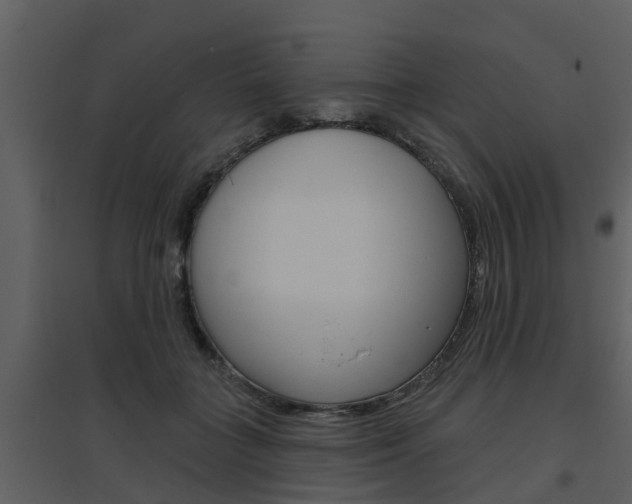 X0000094790555200711160919