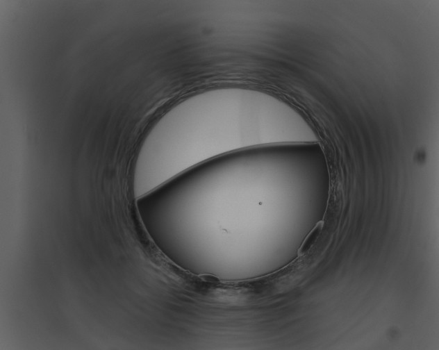 X0000094790556200711160919