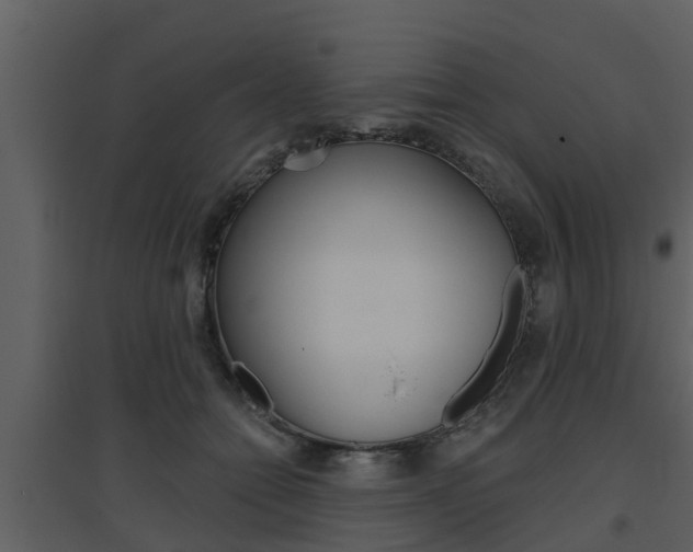 X0000094790558200711160919