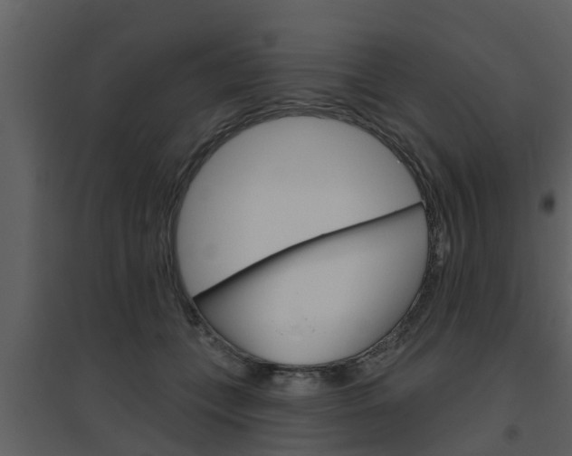 X0000094790559200711160919