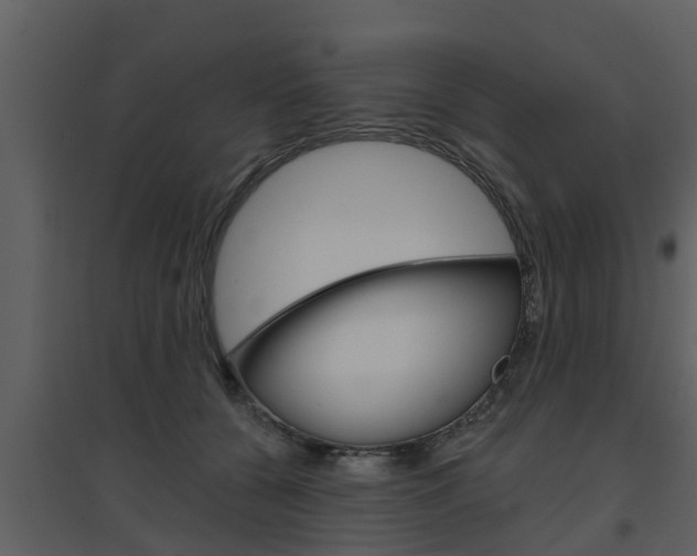 X0000094790560200711160919