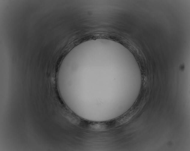 X0000094790561200711160919