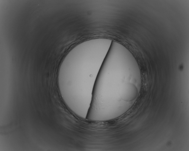 X0000094790563200711160920