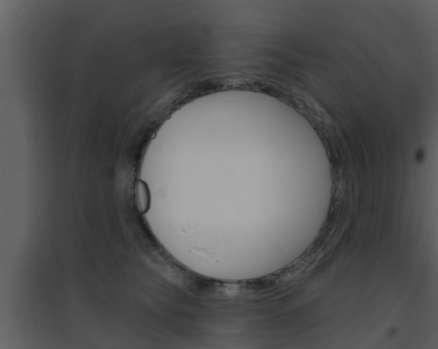 X0000094790565200711160920