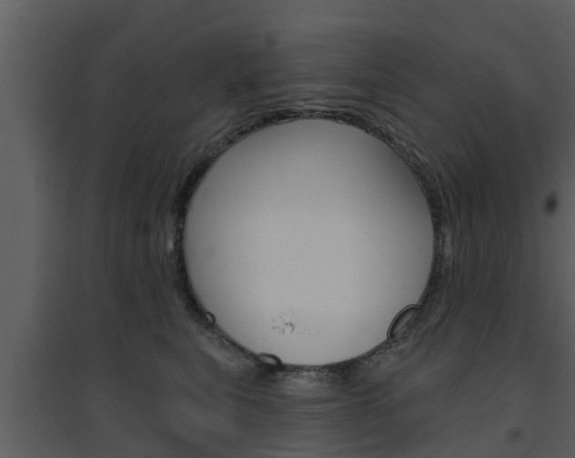 X0000094790567200711160920