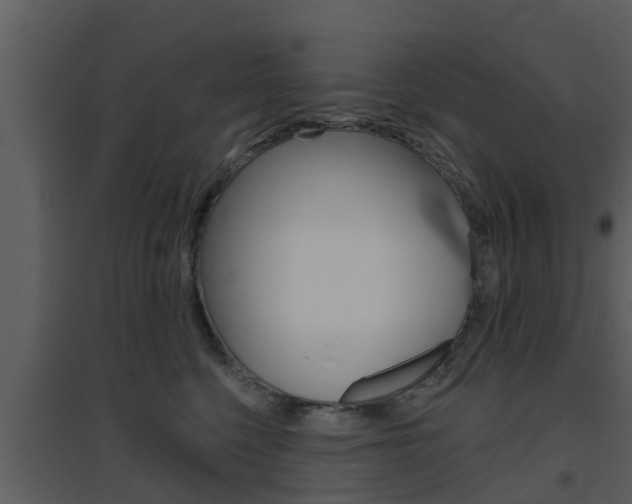 X0000094790568200711160920