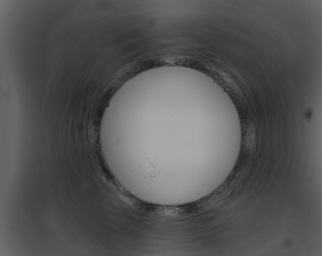 X0000094790569200711160920