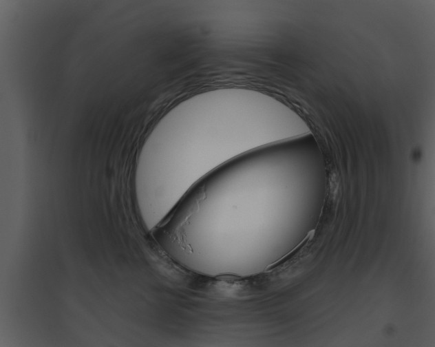 X0000094790570200711160920
