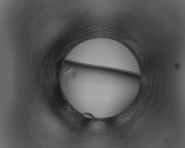 X0000094790572200711160920