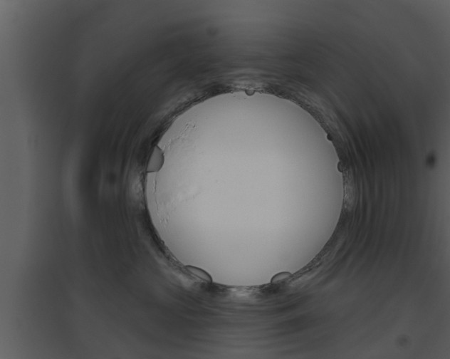 X0000094790573200711160920