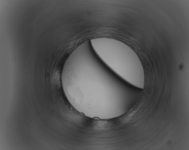 X0000094790575200711160920