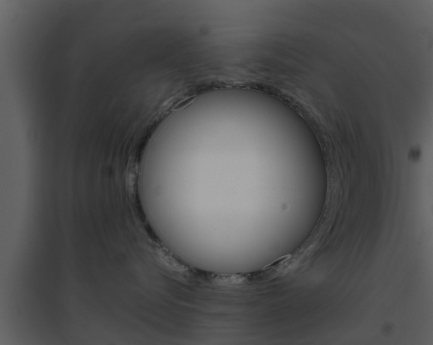 X0000094790576200711160920