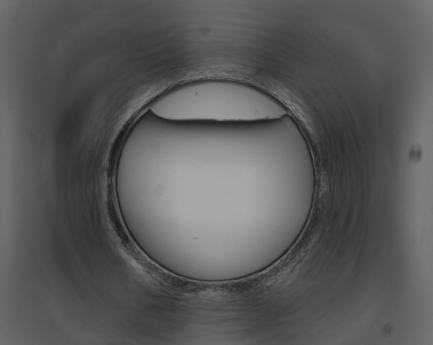 X0000094790578200711160919